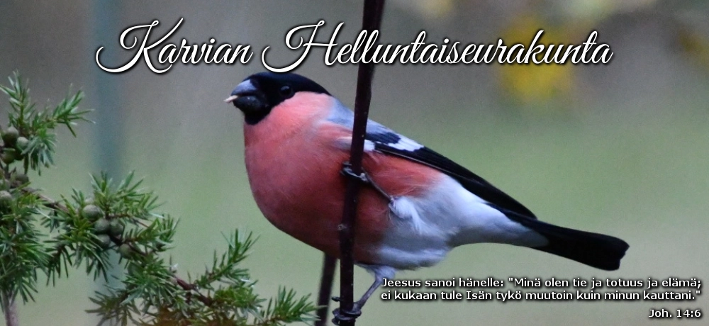 Karvian Helluntaiseurakunta